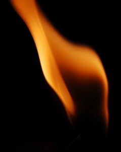 Photo of Single Flame