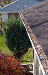 Clean Your Gutters - Minneapolis MN - Jack Pixley Sweep