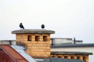 chimney with birds on top